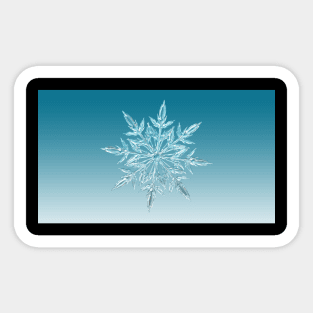 Snowflake Sticker